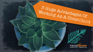 A plant with the title "3 huge advantages of working as a consultant"