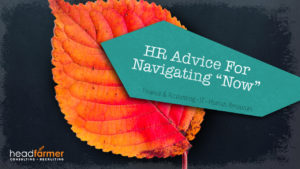A Headfarmer, LLC. online banner featuring an orange leaf and text overlay, "HR Advice for Navigating 'Now': Finance & Accounting, IT, Human Resources."